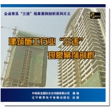 《建筑施工行业“三违”现象案例剖析》 2片/VCD