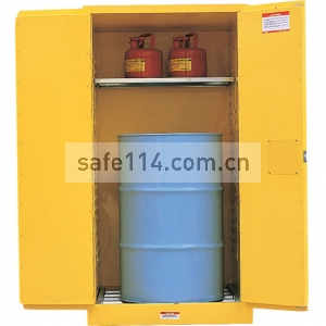 易燃液体防火安全柜（油桶型）WA810550