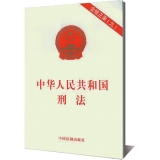 中华人民共和国刑法（含修正案 九）
