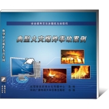 典型火灾爆炸事故案例(升级中) (2DVD)