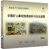 非煤矿山事故隐患剖析与安全监管(2DVD)